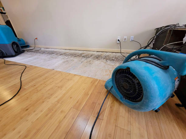Reliable Basement Flood Cleanup contractor in New Haven, CT by Hirex Water Damage