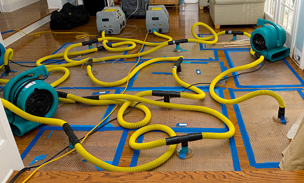 Professional Basement Flood Cleanup technician working in New Haven, CT